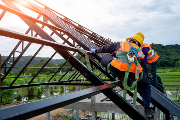 Best Sealant for Roof  in Wailua, HI