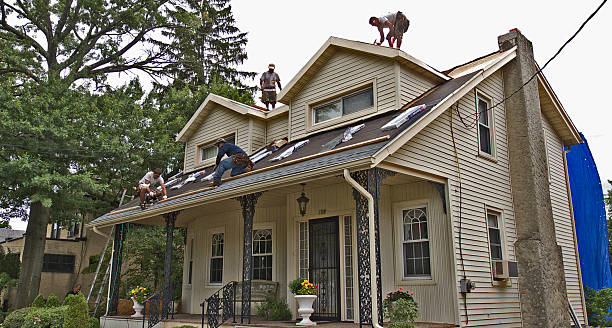 Best Storm Damage Roof Repair  in Wailua, HI