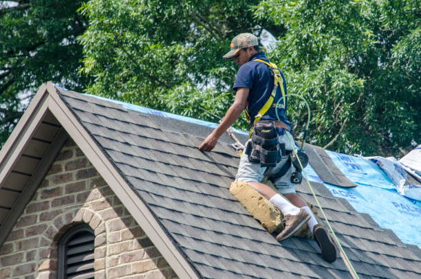 Professional Roofing Contractor in Wailua, HI